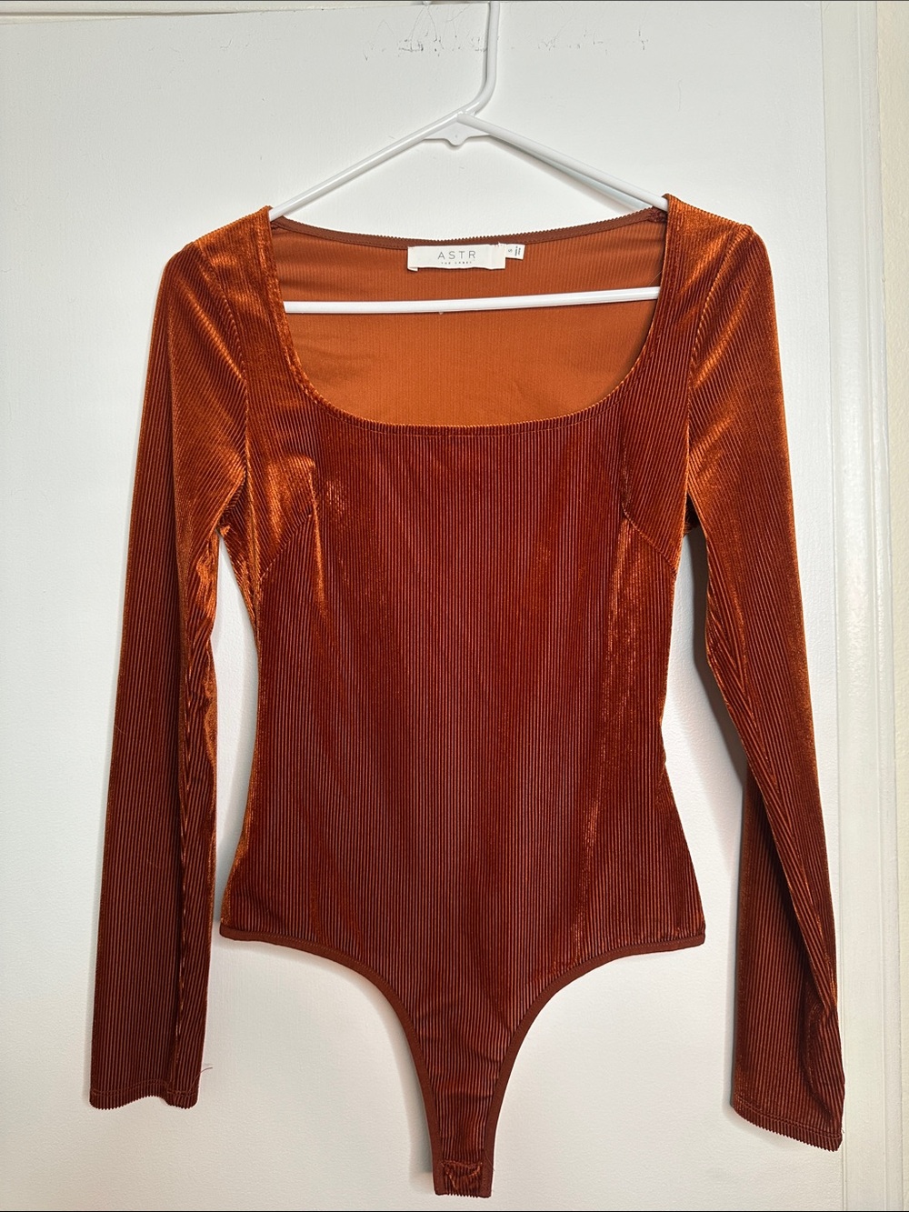 Astr Rust Velvet Scoop-Neck Long-Sleeve Bodysuit